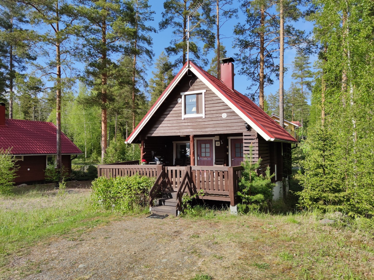 The exterior of a charming cabin is surrounded by tall pine trees, featuring a wooden deck with a staircase leading to the entrance. The sloped roof is adorned with red tiles, and large windows are framed by lush greenery.