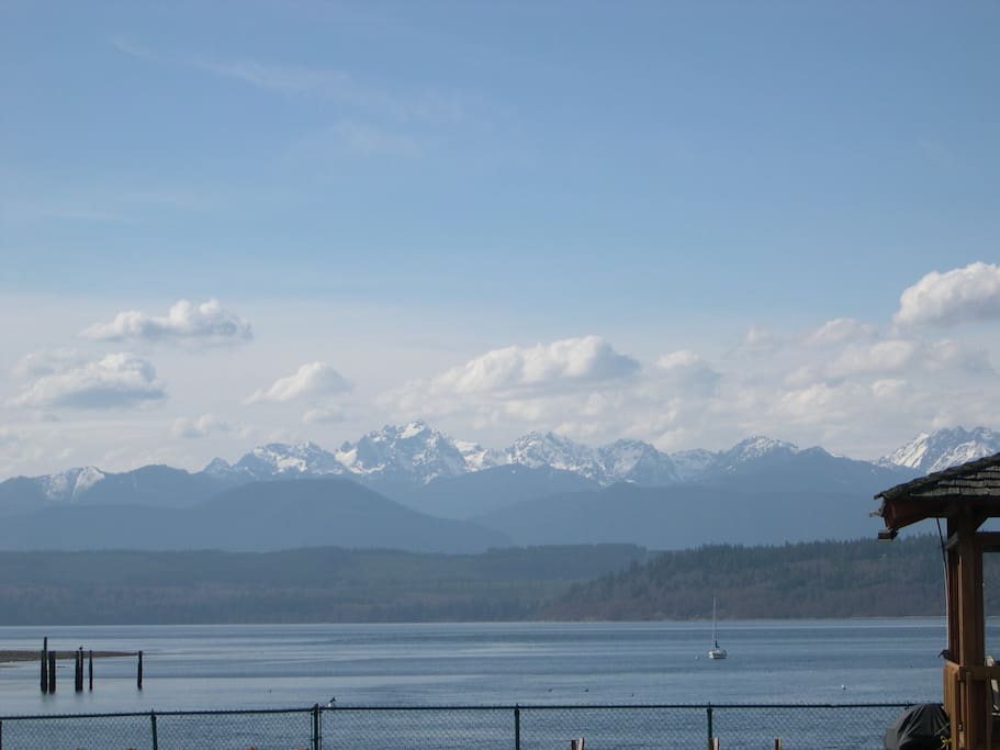 Green Cat Guest House POULSBO MAGIC sleeps 12 Townhouses for Rent in