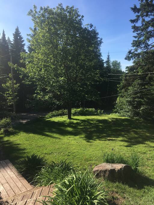 front yard