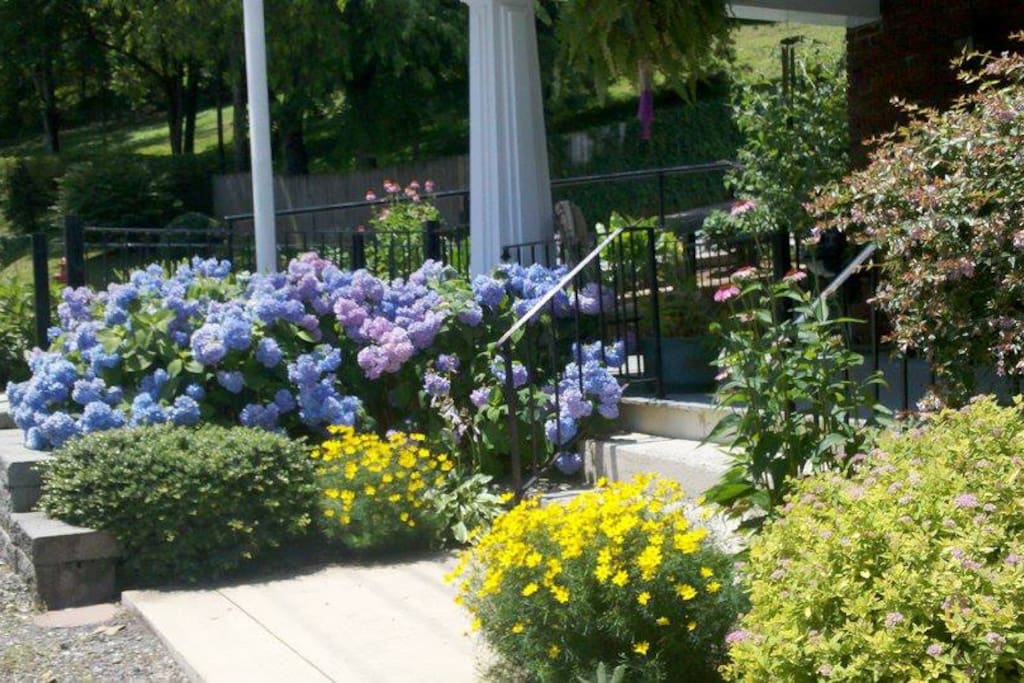 Schulman House in its summer glory.