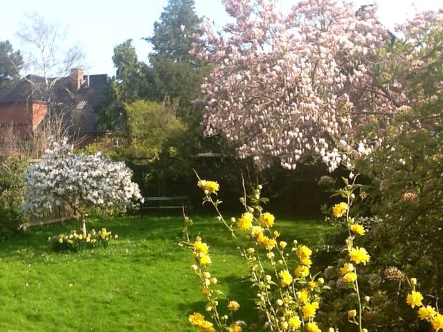 Centrally located Townhouse,Copenha