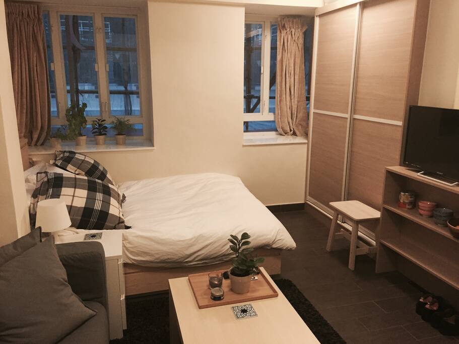 Bed / Living Room