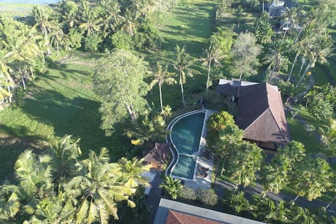 Central Ubud 42BR with Pools & Green Surrounding
