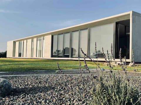 An Oasis among the Dunes of Ica, Peru
