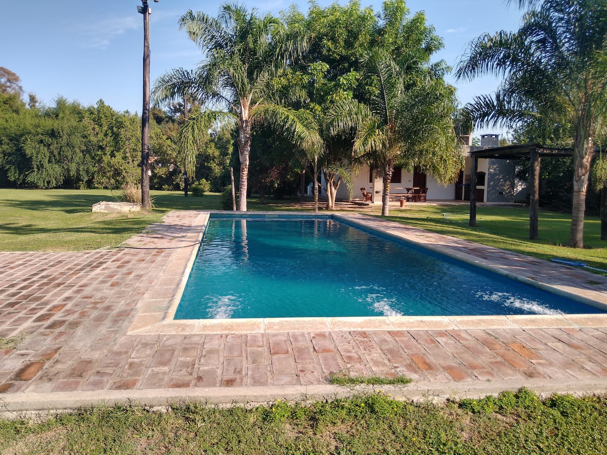 A clear swimming pool is surrounded by a stone patio, featuring lush greenery and tall palm trees in the background. The tranquil outdoor space offers ample room for relaxation, with a house visible in the distance, framed by a vibrant lawn.