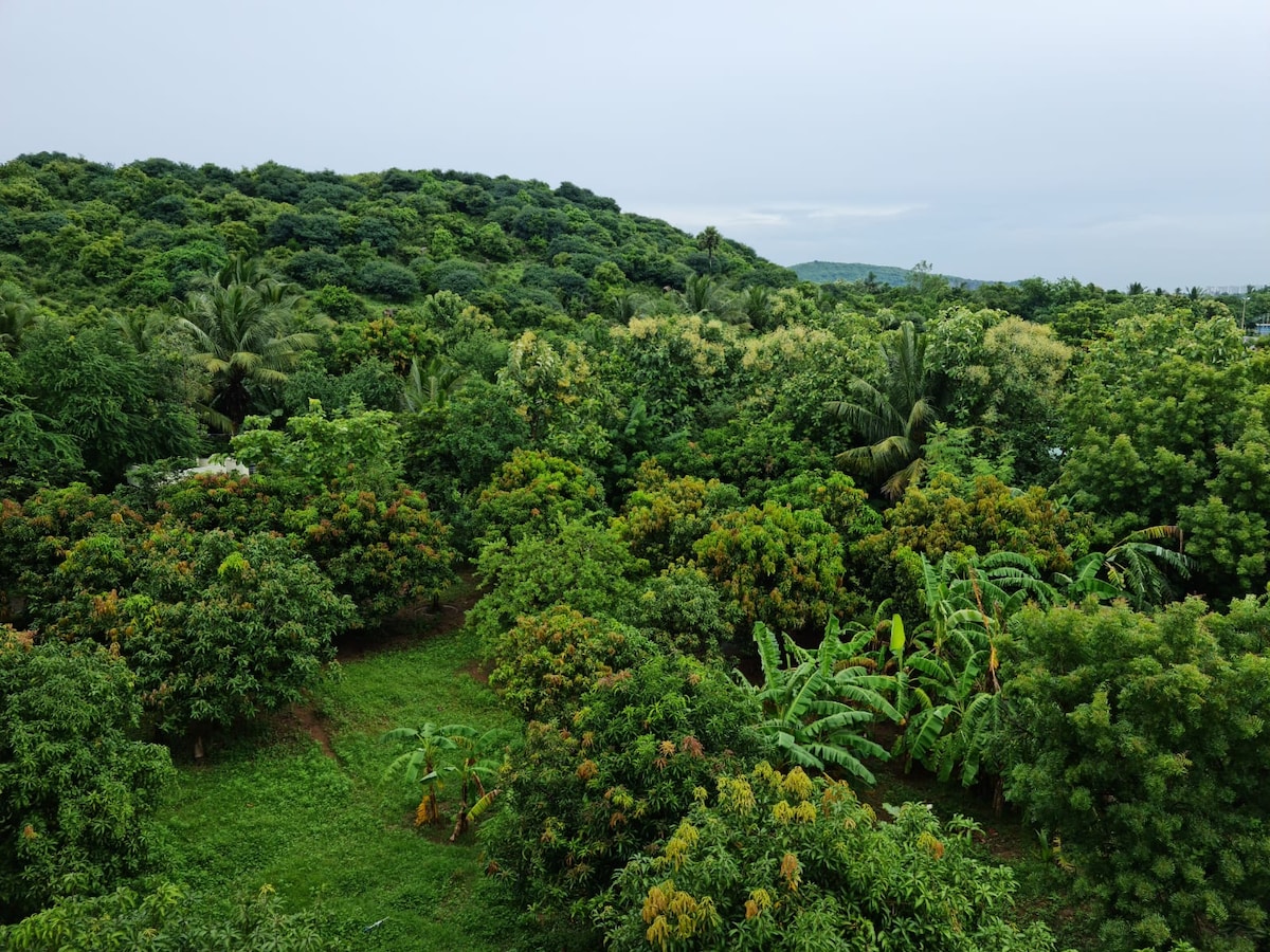 Lush greenery dominates the landscape, featuring a variety of trees and plants. The verdant area is characterized by dense foliage, creating a tranquil and serene environment. The gentle undulations of the land are visible, providing a sense of depth and natural beauty.