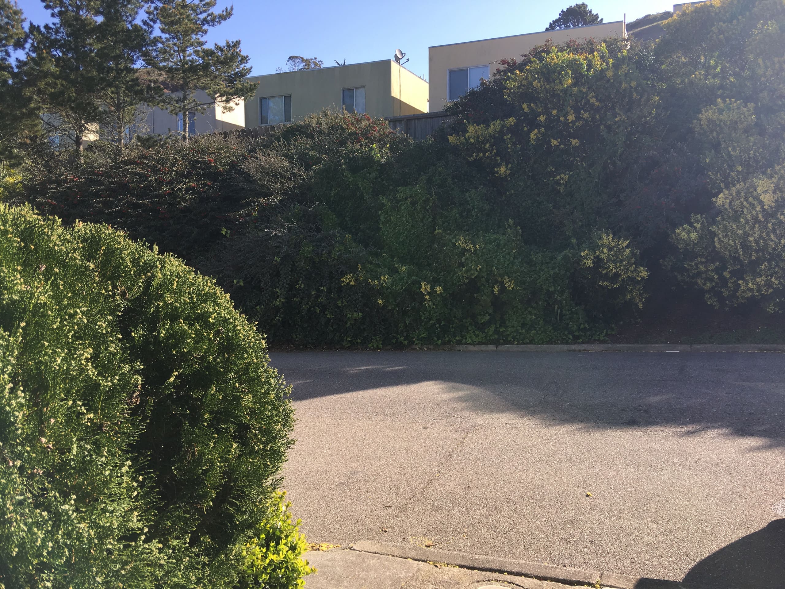 Home in San Francisco · ★4.89 · 2 bedrooms · 3 beds · 1 bath - Image 49