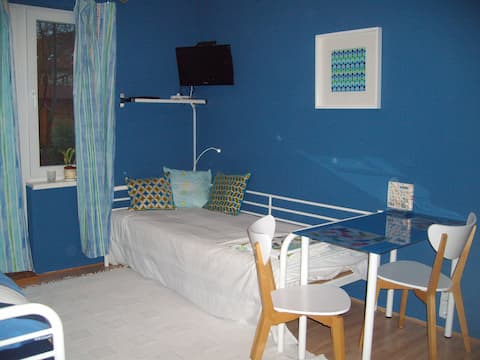 In-law apartment in the blue house; garden with grill