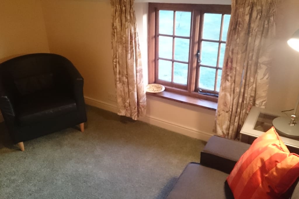 Living Room with sofa bed