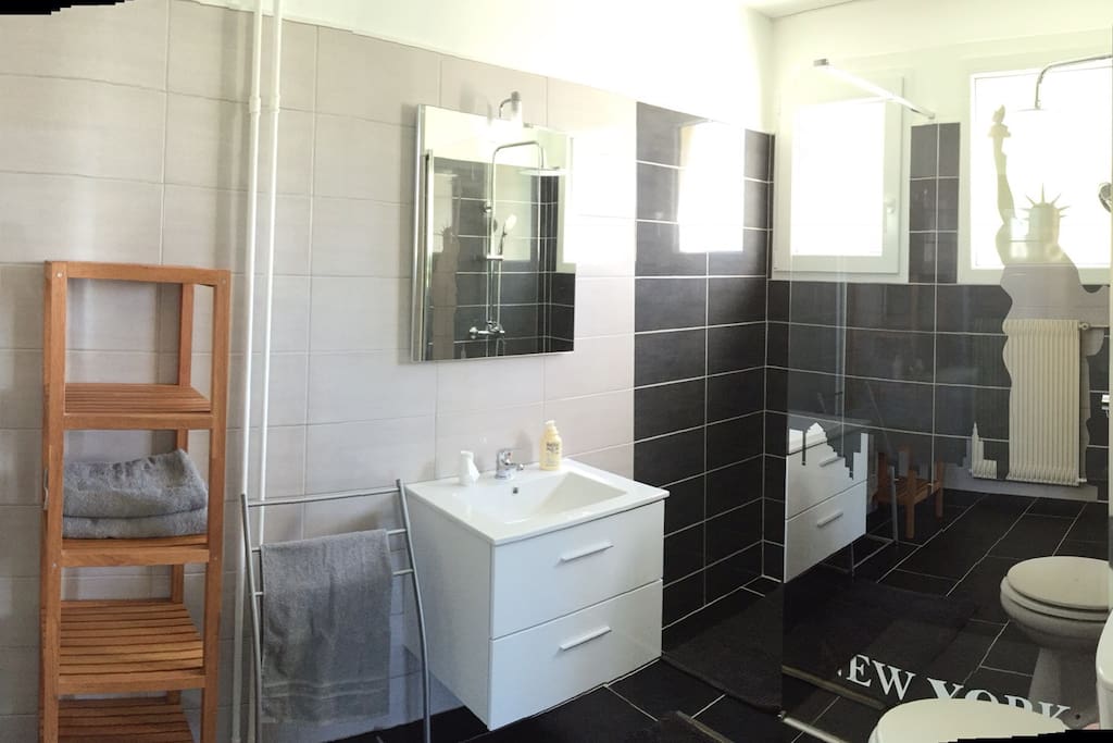 salle de bain grand confort et spacieuse