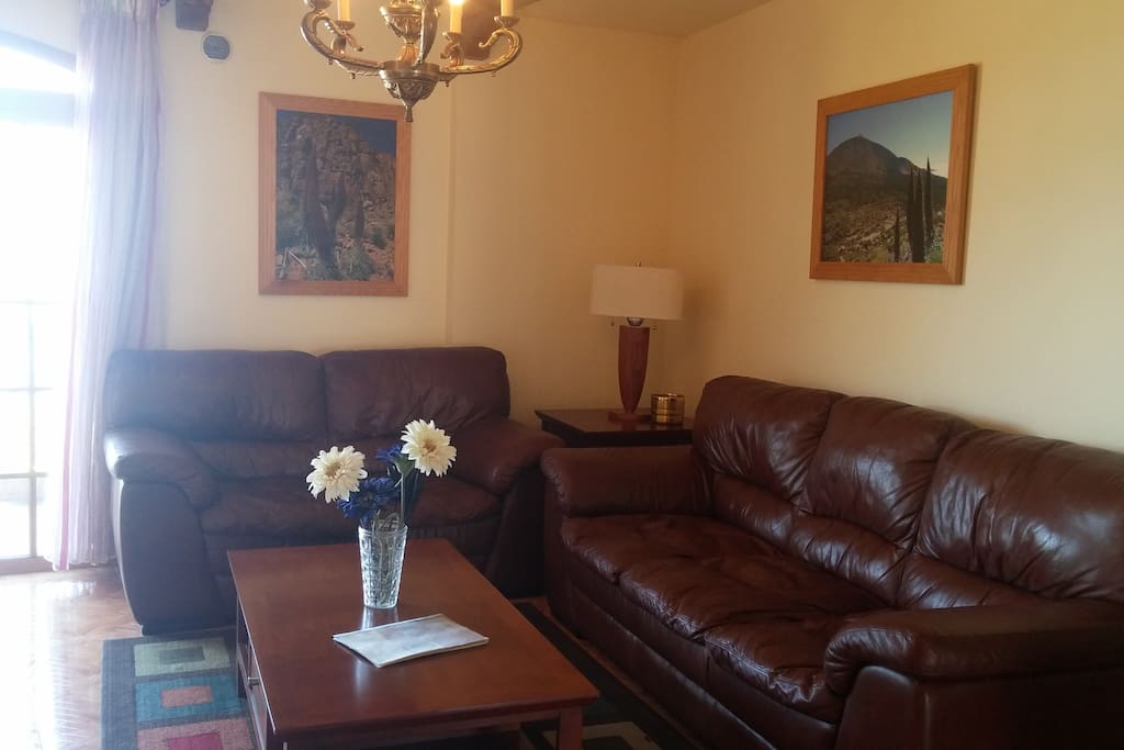 comfortable leather sofas and sat tv
