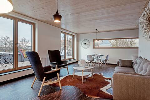 Penthouse 207 80 m2 with two bedrooms and terrace