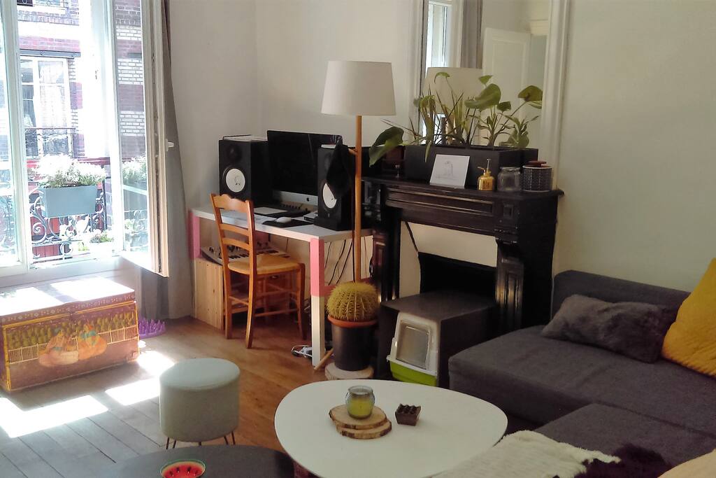 le salon ( quelques plantes a arroser si vous rester une semaine) le canapé se déplit en lit
