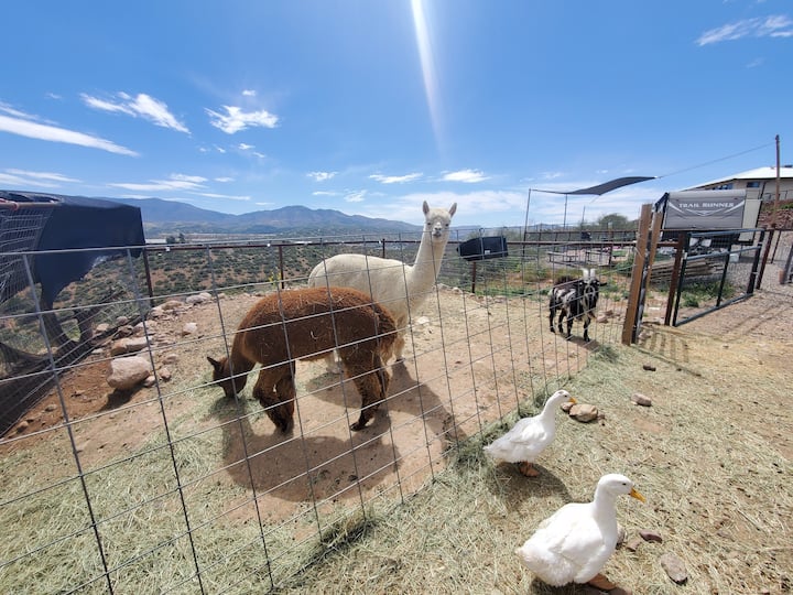 Delightful 2 bedroom RV with boat/trailer parking Campers/RVs for