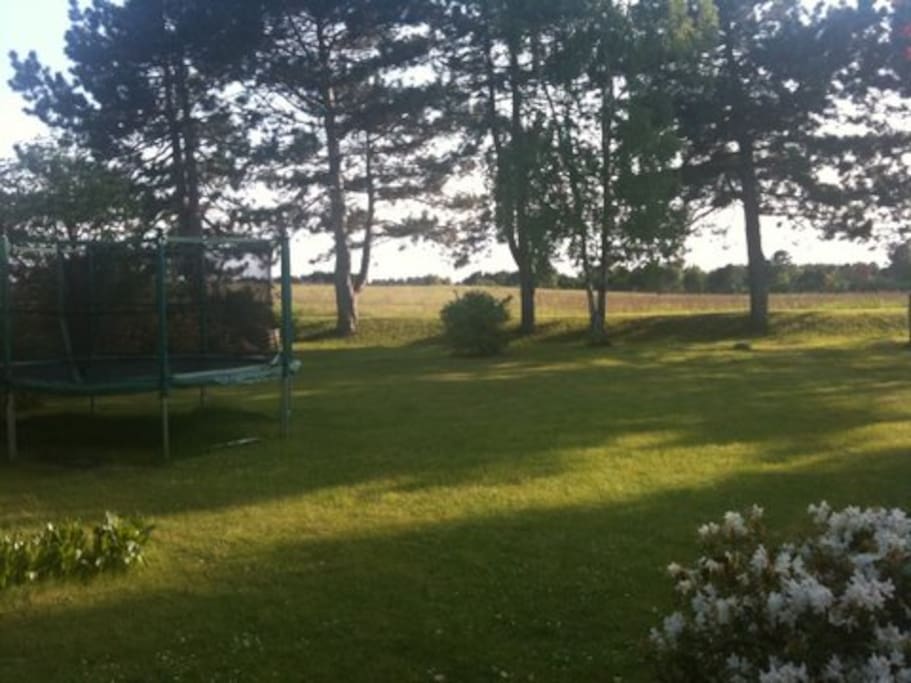 Garden & meadow view