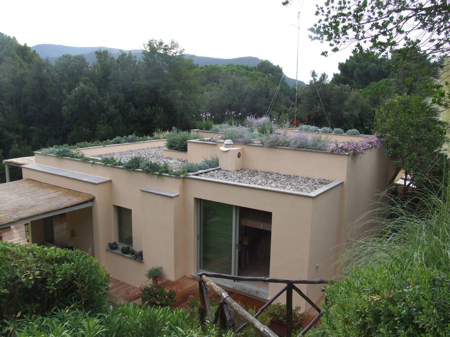 The outside of house surrounded by the wood.