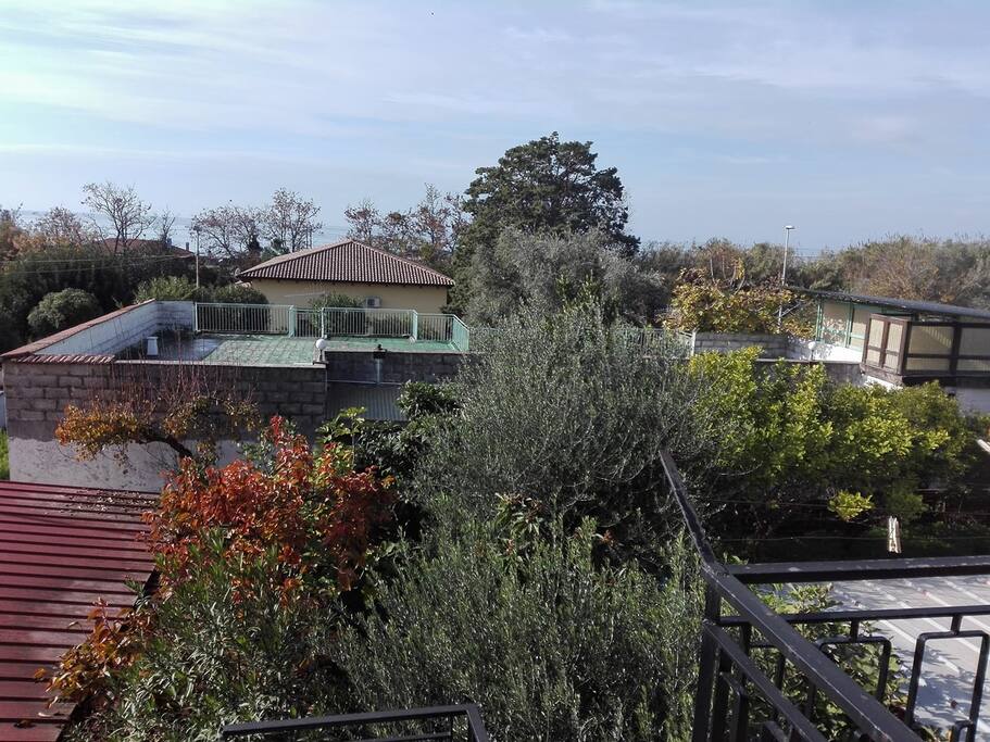 panoramica
