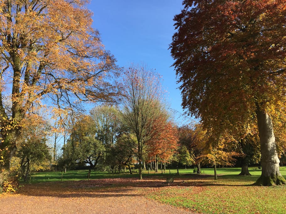 Parc du château