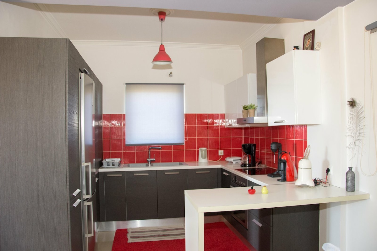 The kitchen features modern cabinetry in dark tones, paired with vibrant red tiles. A large refrigerator and minimalistic appliances are visible, complemented by a white countertop. Natural light filters through a window, and a red area rug adds a touch of color to the space.
