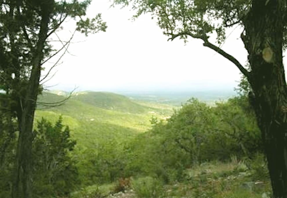 Spring greenery/view from the deck - magical!!