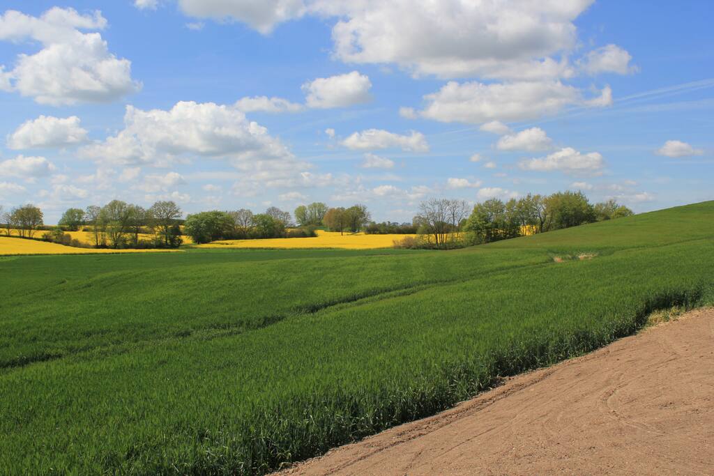 Blick von der Terrasse