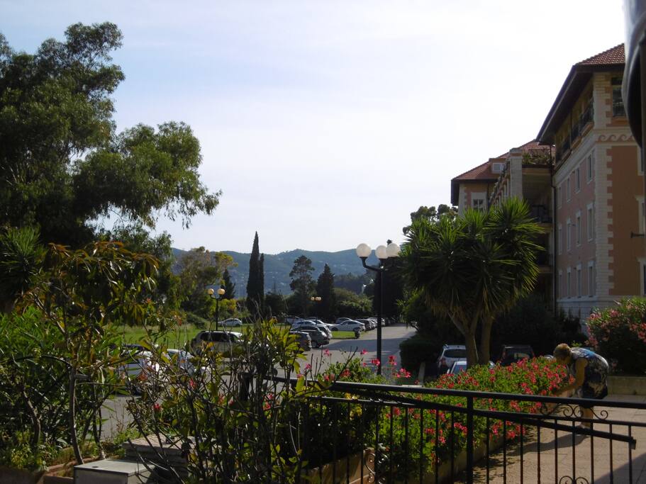 Viale nel verde delimitato da cancello