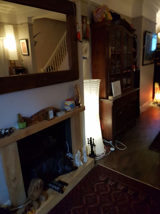 TV