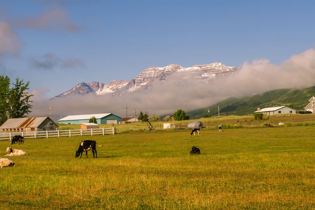 Midway Utah and Heber Valley