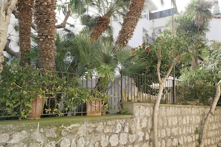 La Melodia B&B (centric and bright)