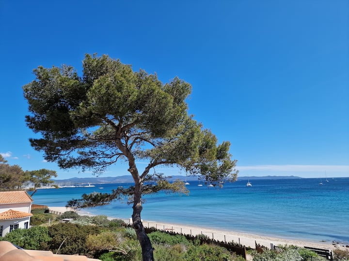 Appartement En Duplex Au Bord De L Eau. - Île de Porquerolles