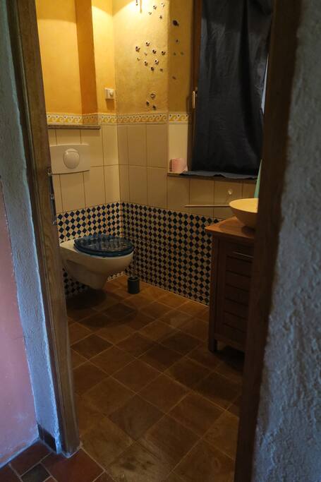 salle de bain (la douche est cachée )