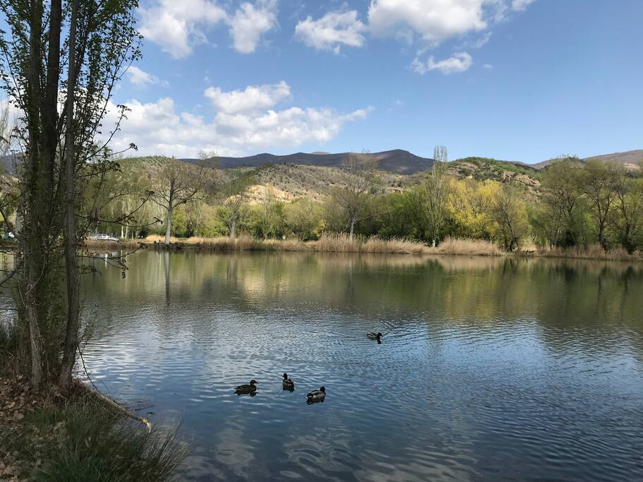 Détente en Haute Provence