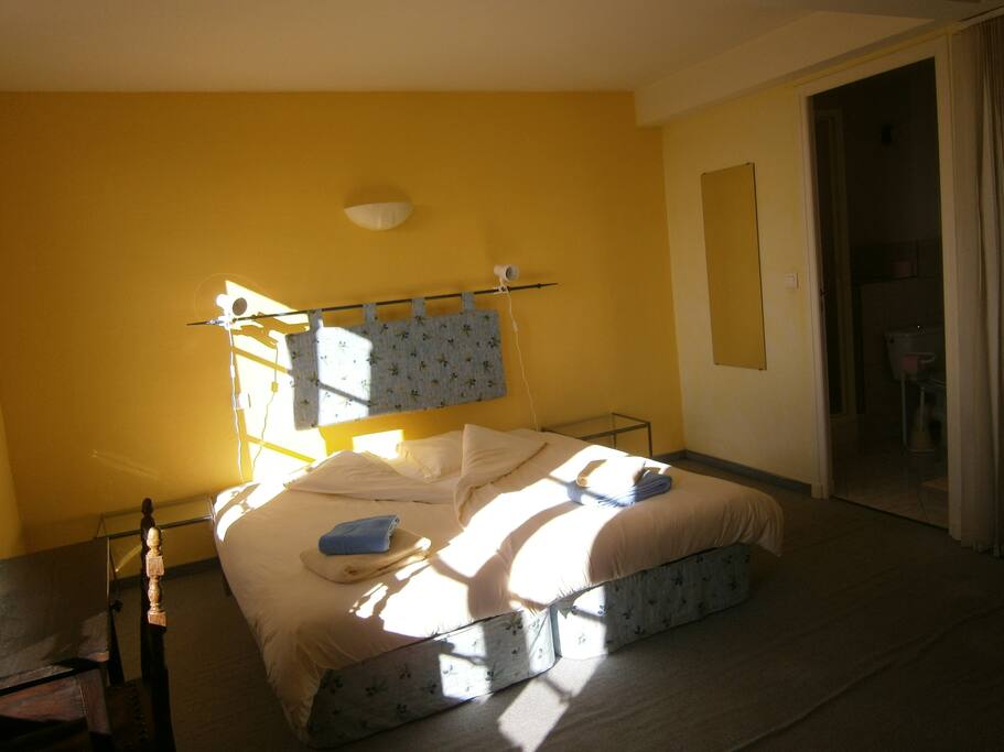Zimmer Flocke