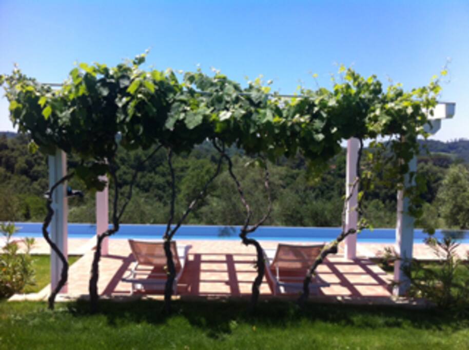 The pool