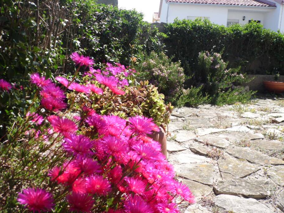Jardim/ Garden