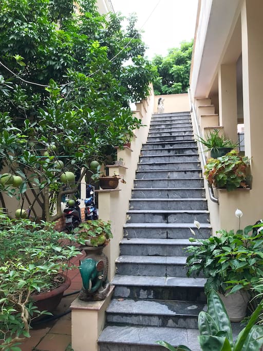 A stair full of sunshine leading to your room