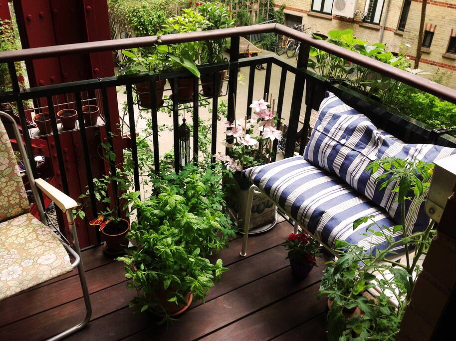 The balcony in july, when everything is in full bloom
