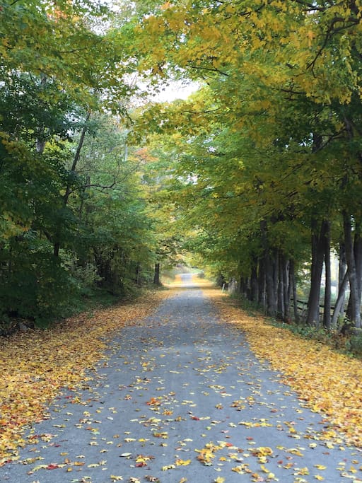 Three Maple Drive