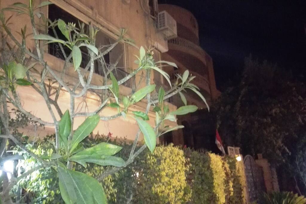 Outside View