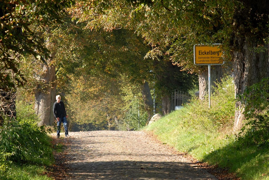 Kastanienalleen und Kopfsteinpflaster im schönen Eickelberg