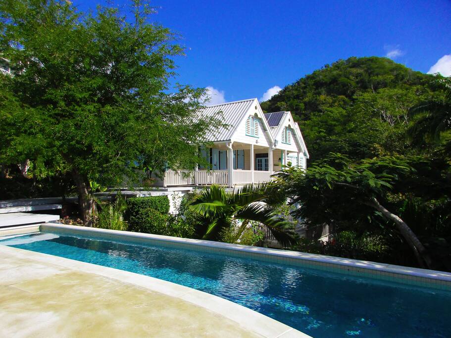 The house from the pool