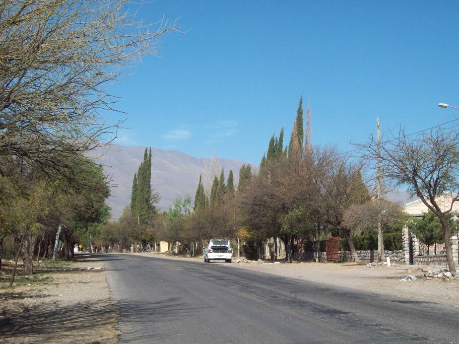 Paisaje que se aprecia hacia la ruta 307, donde se ubica la vivienda.
