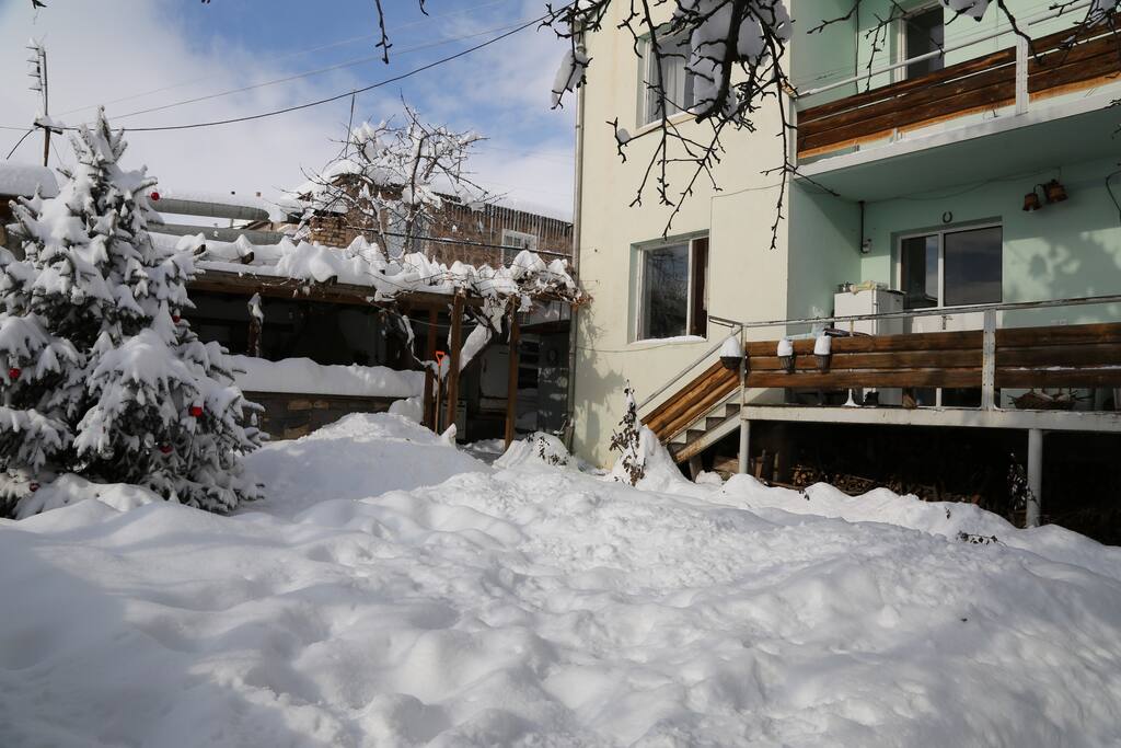 Yard in winter