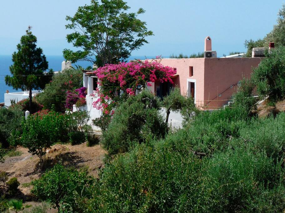 Villa immersa in un fiorente giardino con alberi da frutto, ulivi, viti di malvasia e capperi