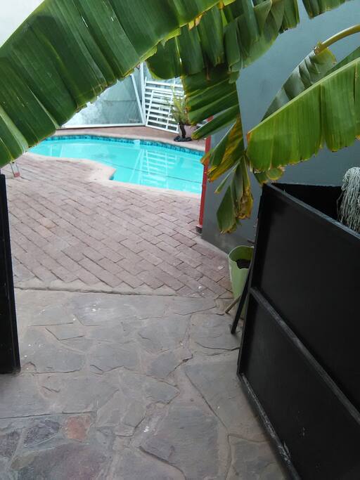 pool and garden