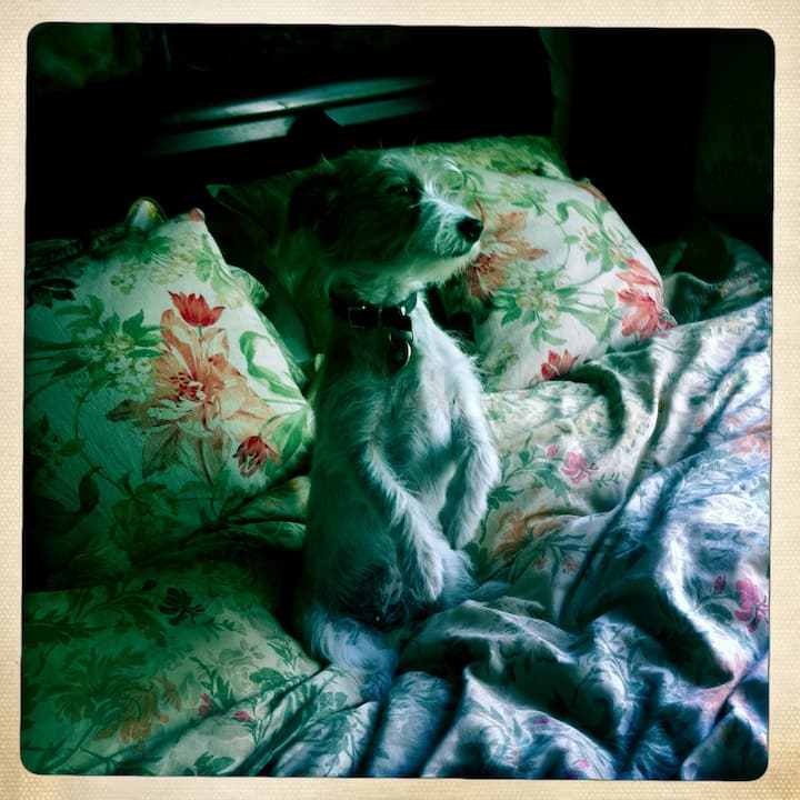 Საწოლი - დეტალი 