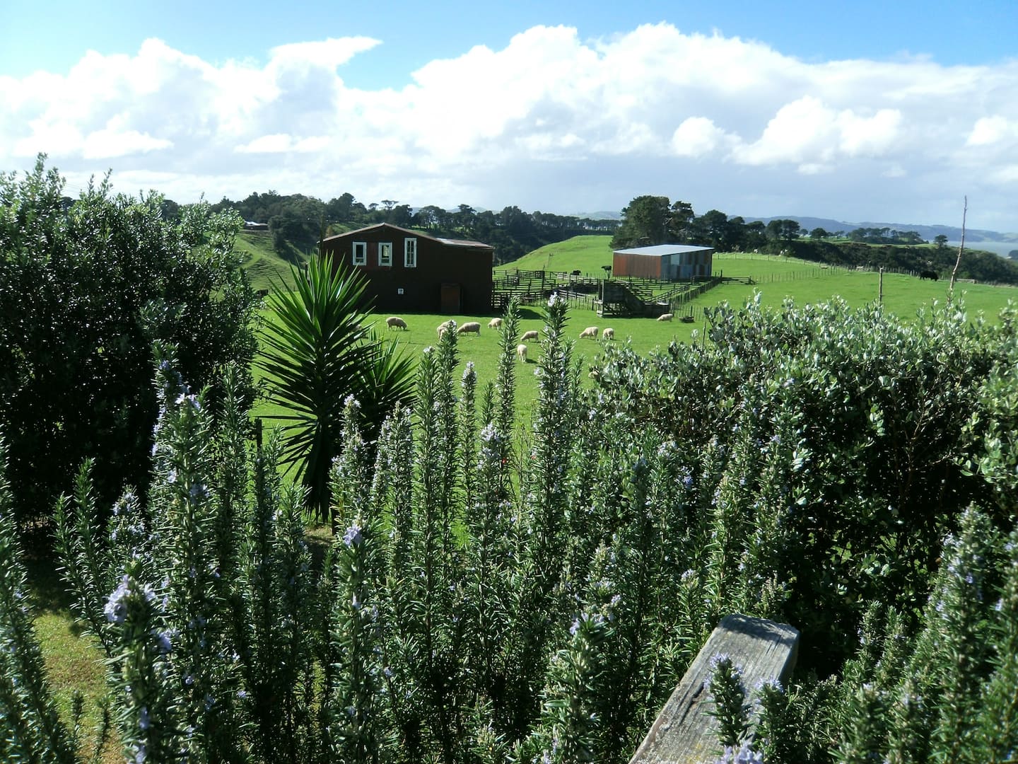 Farm Cottage 1