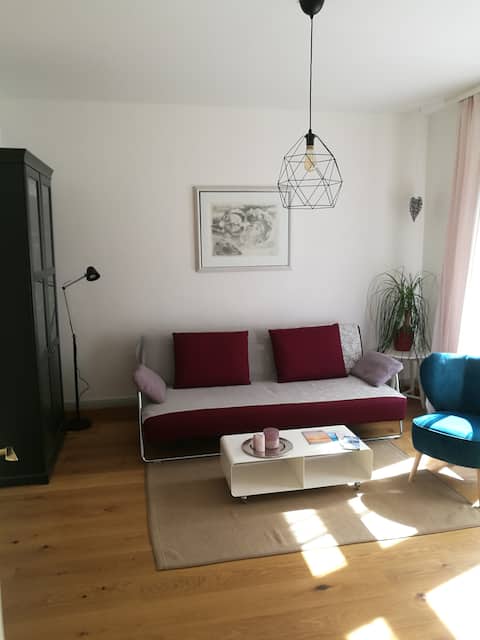 Top performing Airbnb: Cosy apartment in the heart of Bregenz in Lindau (Bodensee)