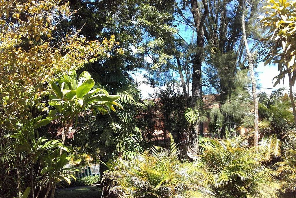 belo jardim