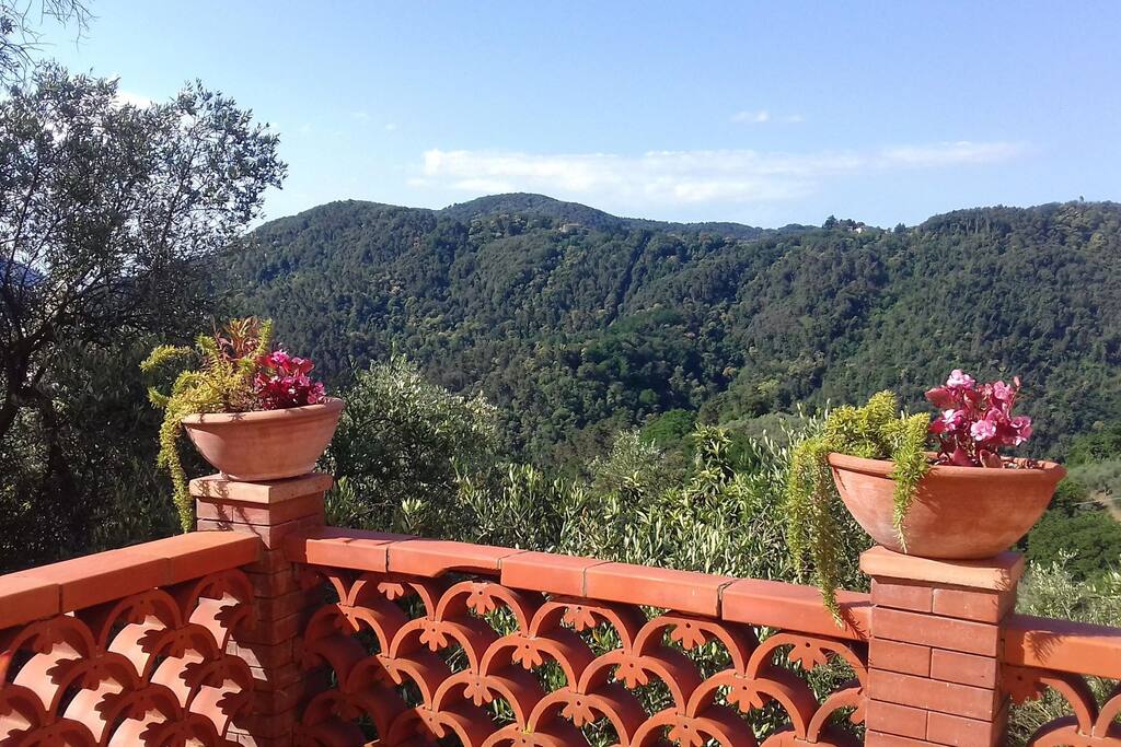 panorama